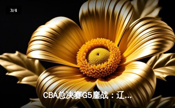 CBA总决赛G5鏖战：辽宁本钢加时险胜广东宏远 成功卫冕总冠军 - 3